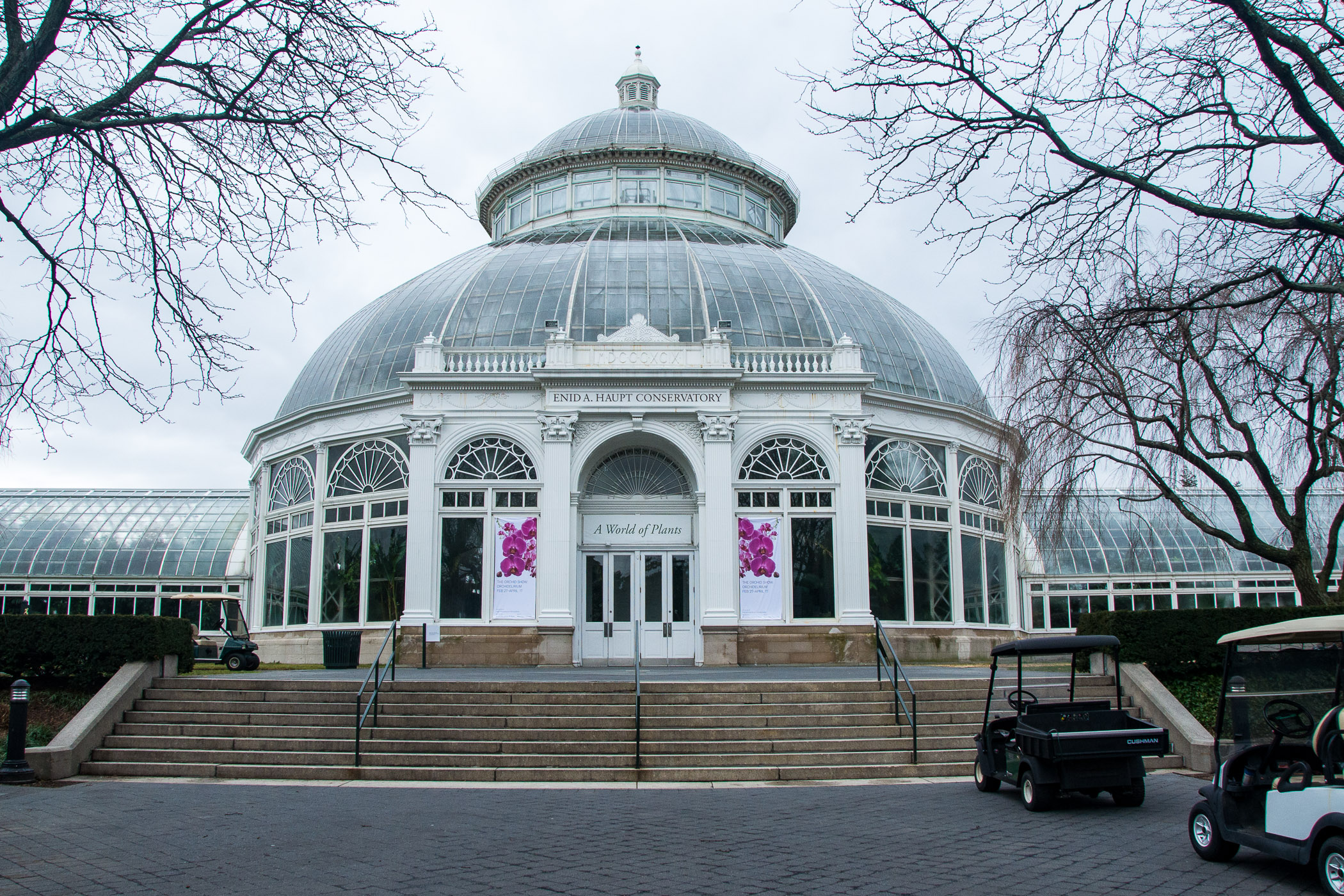 NYBG's Enid A. Haupt Conservatory in winter...but ready for the orchid show.